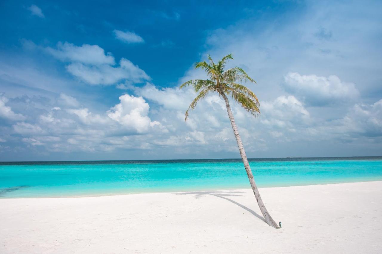 Brickwood Rasdhoo- Beach Front Екстер'єр фото
